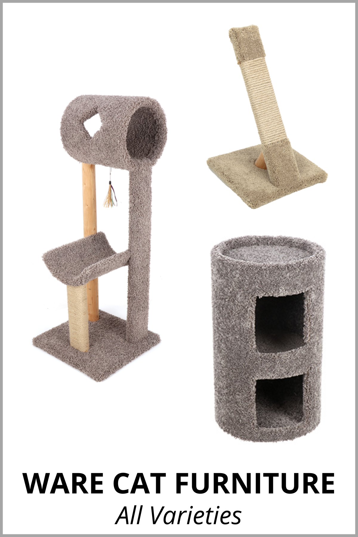 WARE CAT FURNITURE.png