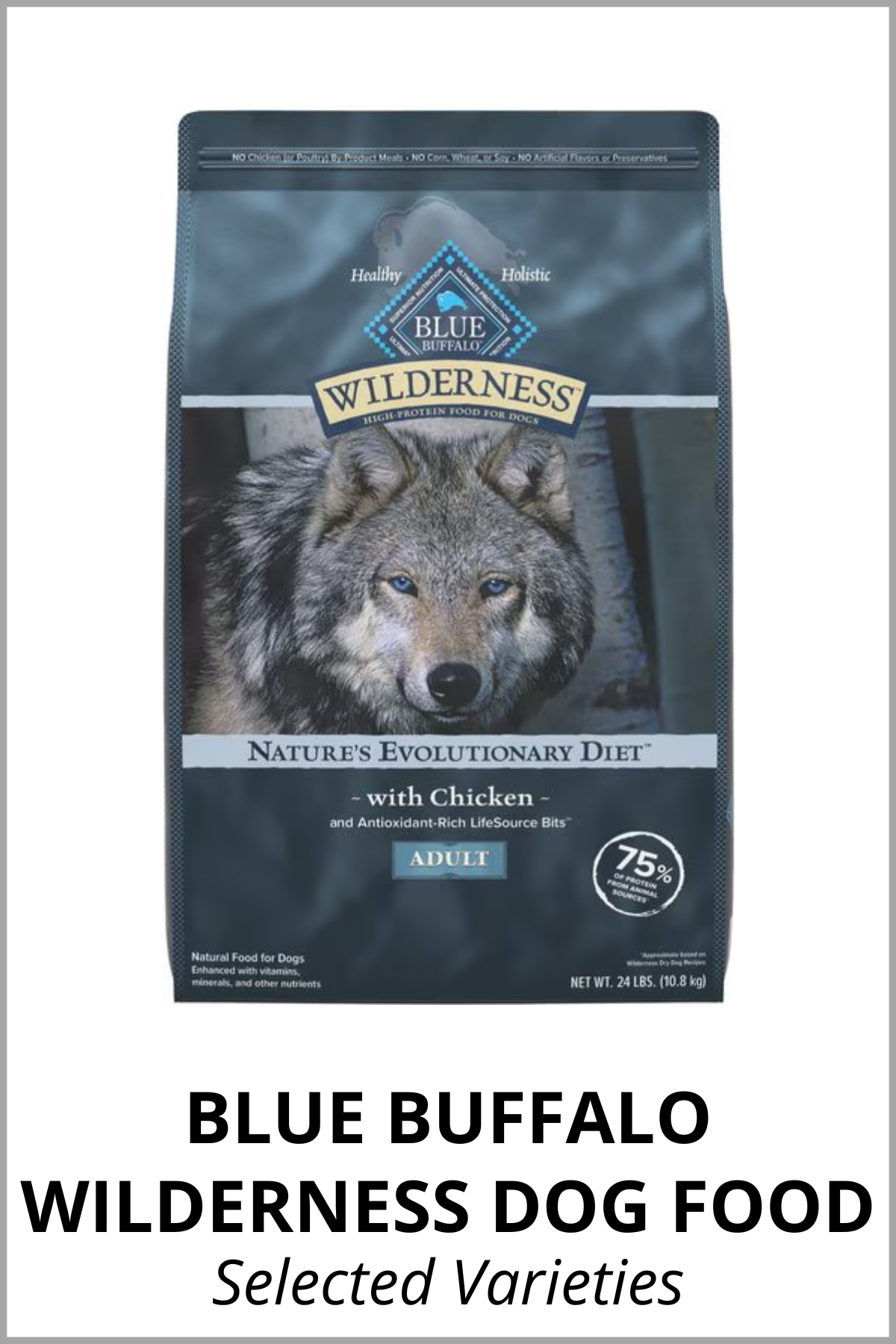 BLUE BUFFALO WILDERNESS DOG FOOD.png