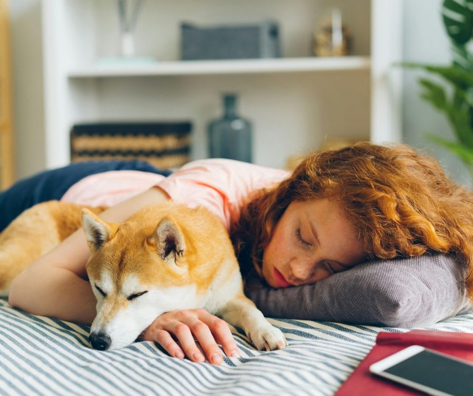 Not every moment needs to be busy. 

Sometimes, the best memories come from lazy afternoons, shared naps, and the quiet presence of a pet who loves you. 💛🥰