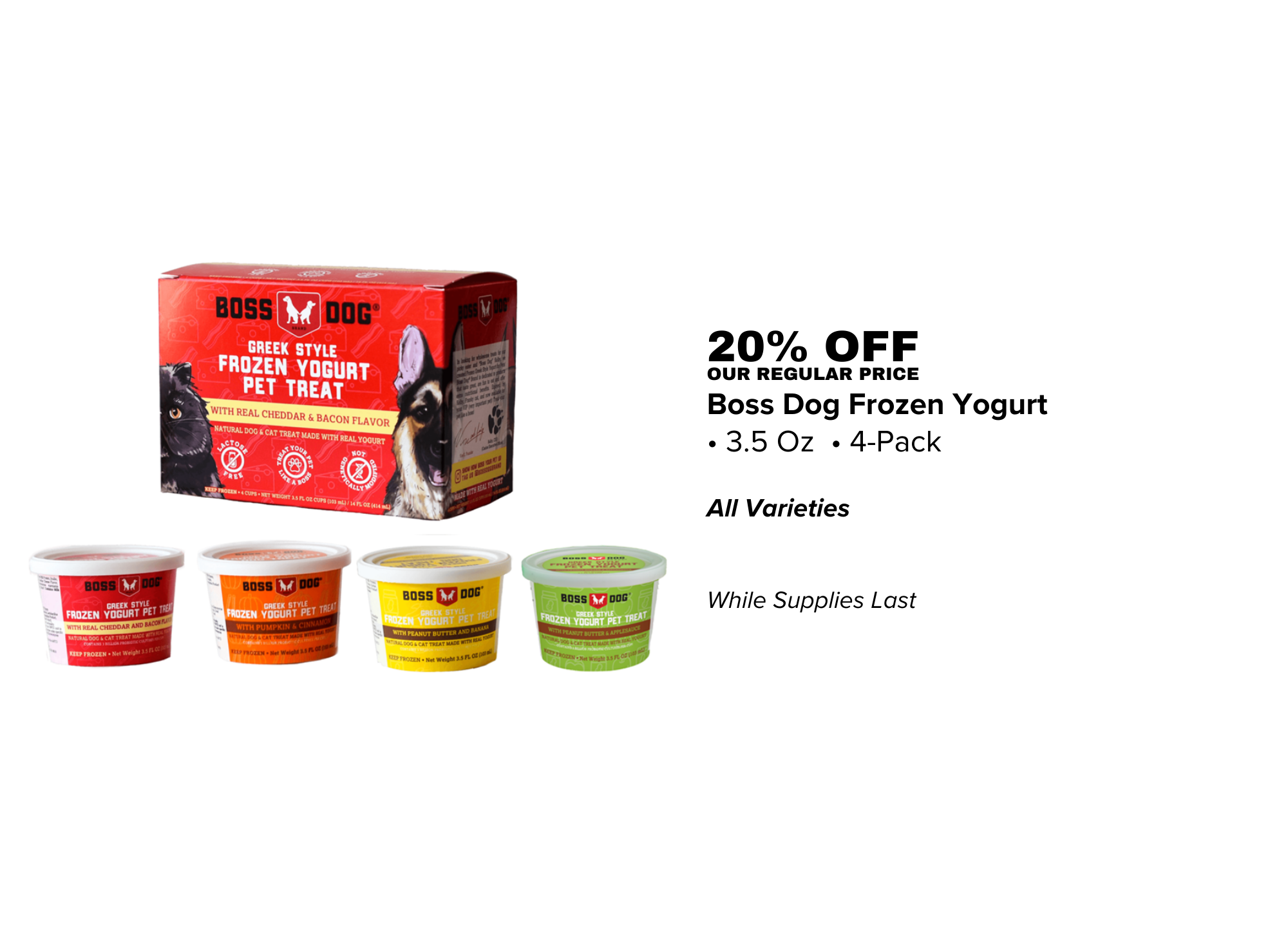 BOSS DOG FROZEN YOGURT - 01.07.26.png