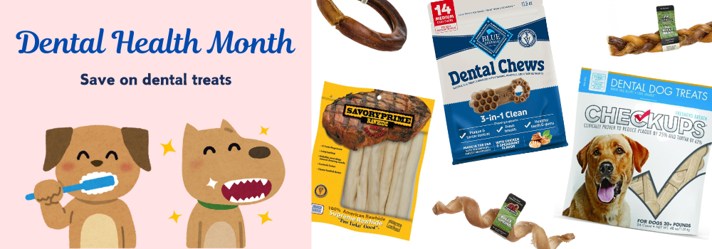 Dental Health Month.png