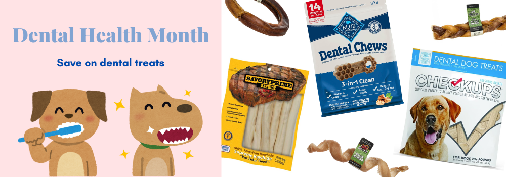 Dental Health Month 2.png