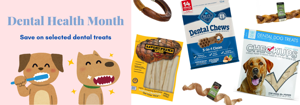 Dental Health Month 2.png