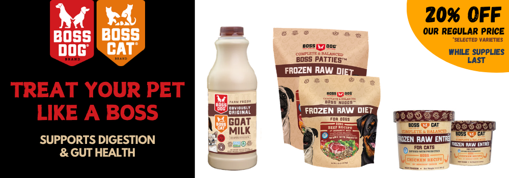 Boss Dog & Cat 03.26.26.png