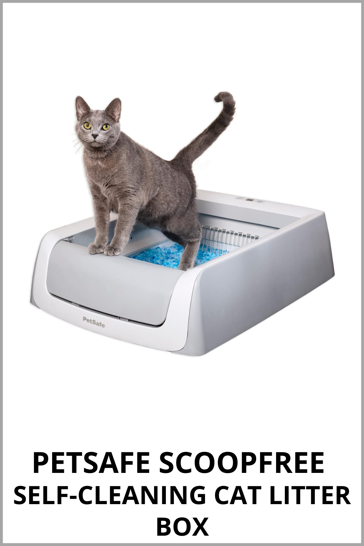 PetSafe Self Cleaning Litter Box.png