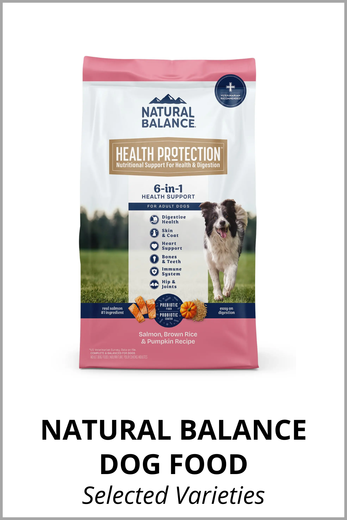 NATURAL BALANCE DOG FOOD.png
