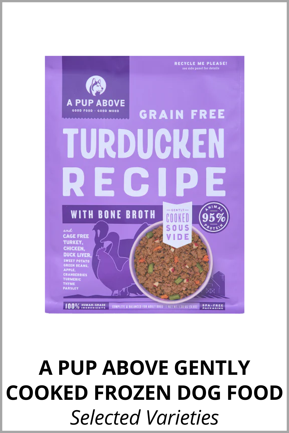 A Pup Above Dog Food 3.png