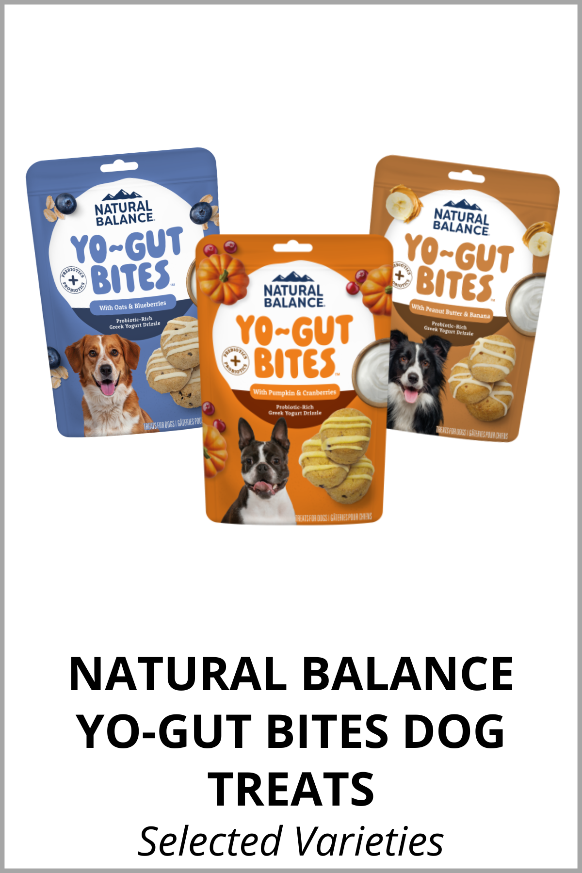 Natural Balance Yo-Gut Bites Dog Treats.png