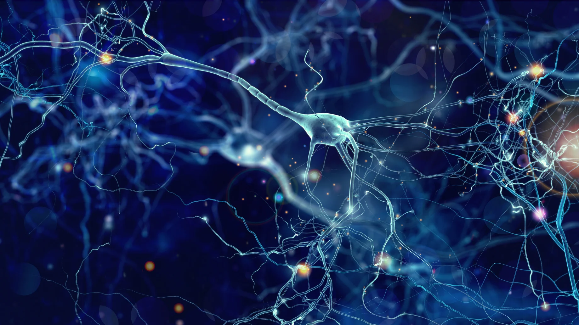 neuroscience.jpg