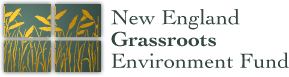 NH grassroots fund