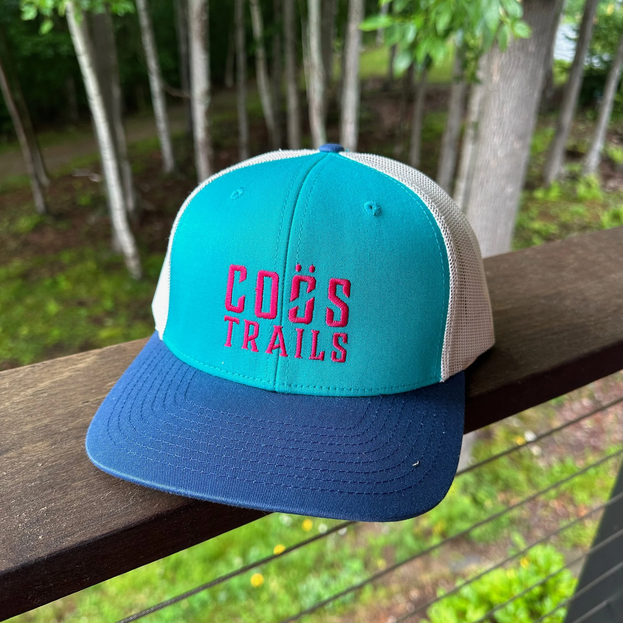 blue:teal:pink trucker.jpeg