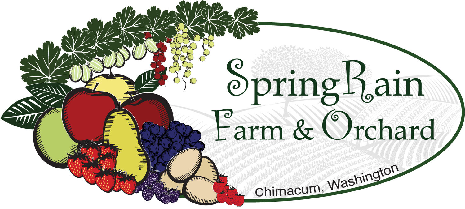 SpringRain Farm