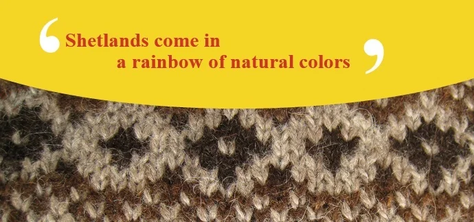sweater.jpg
