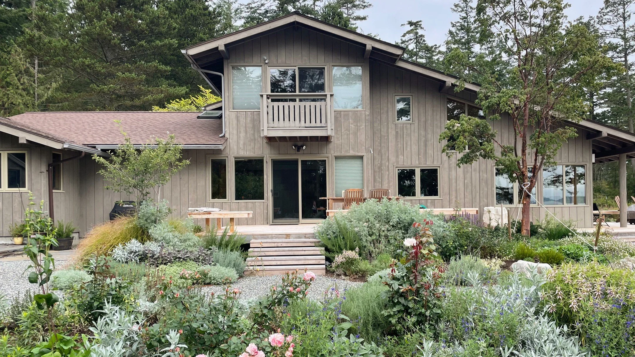 This local garden perched on the Eastern bluffs of Lopez Island is closing in on its first season after planting, and the transformation from before and after has been quite remarkable (swipe right to see before pics). The plants have grown at an ast