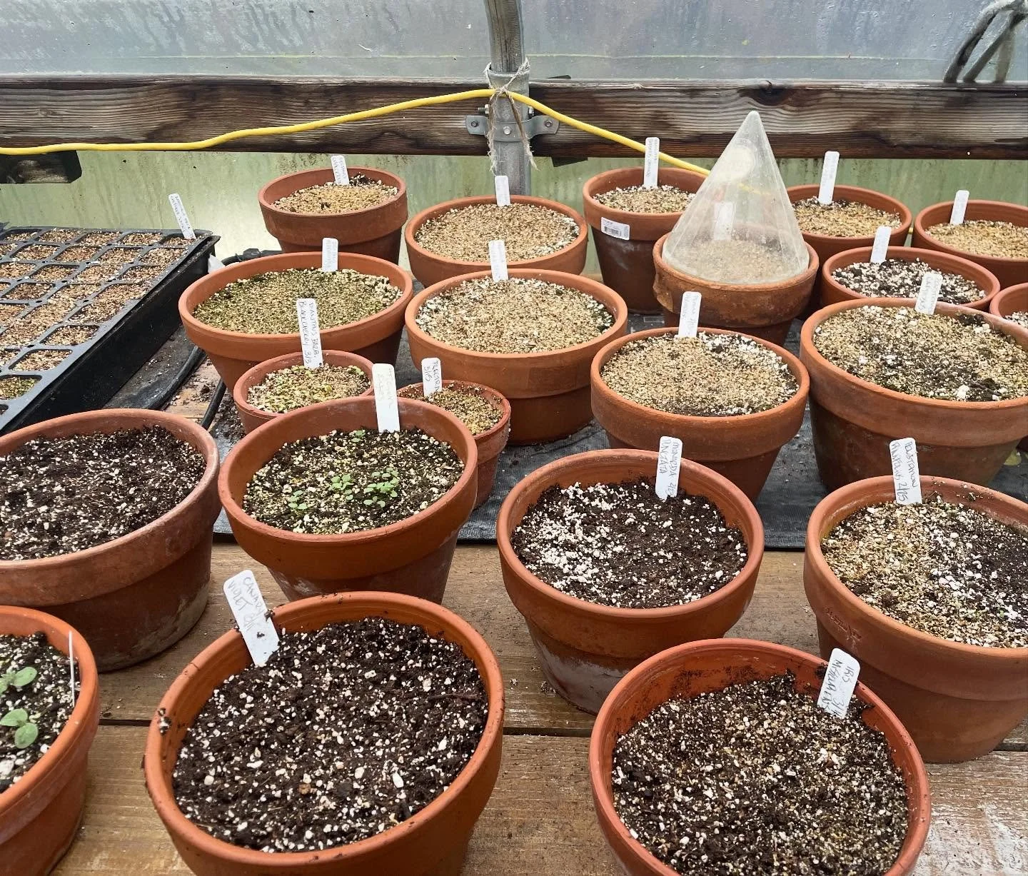 Anticipation. It&rsquo;s the time of year when I patiently await every sprout.