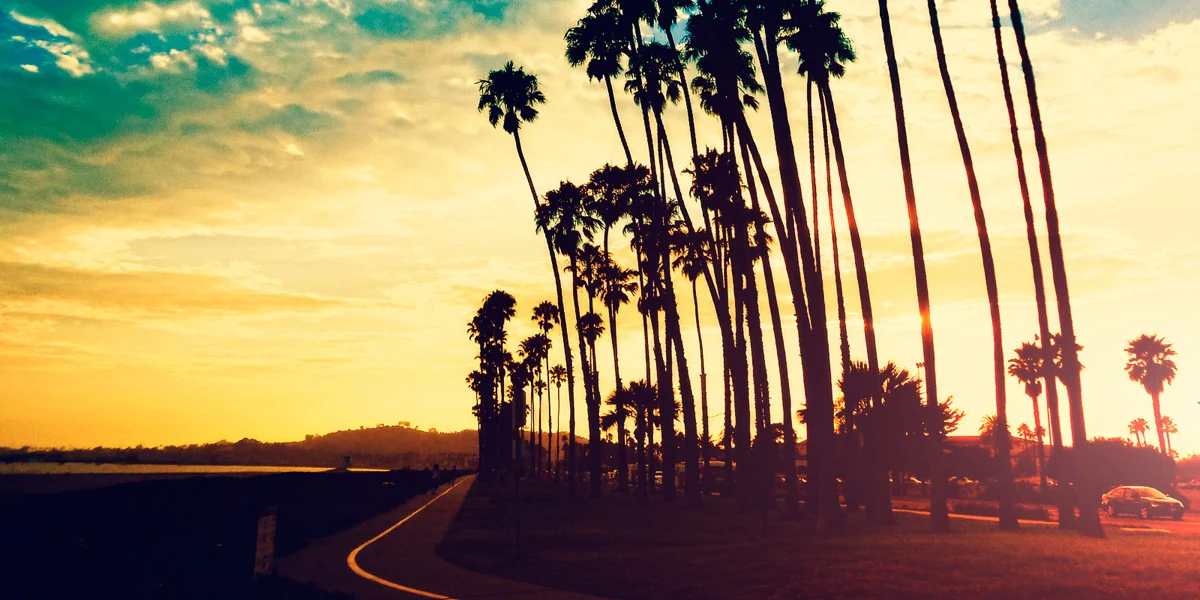 Coastal Palms.jpg