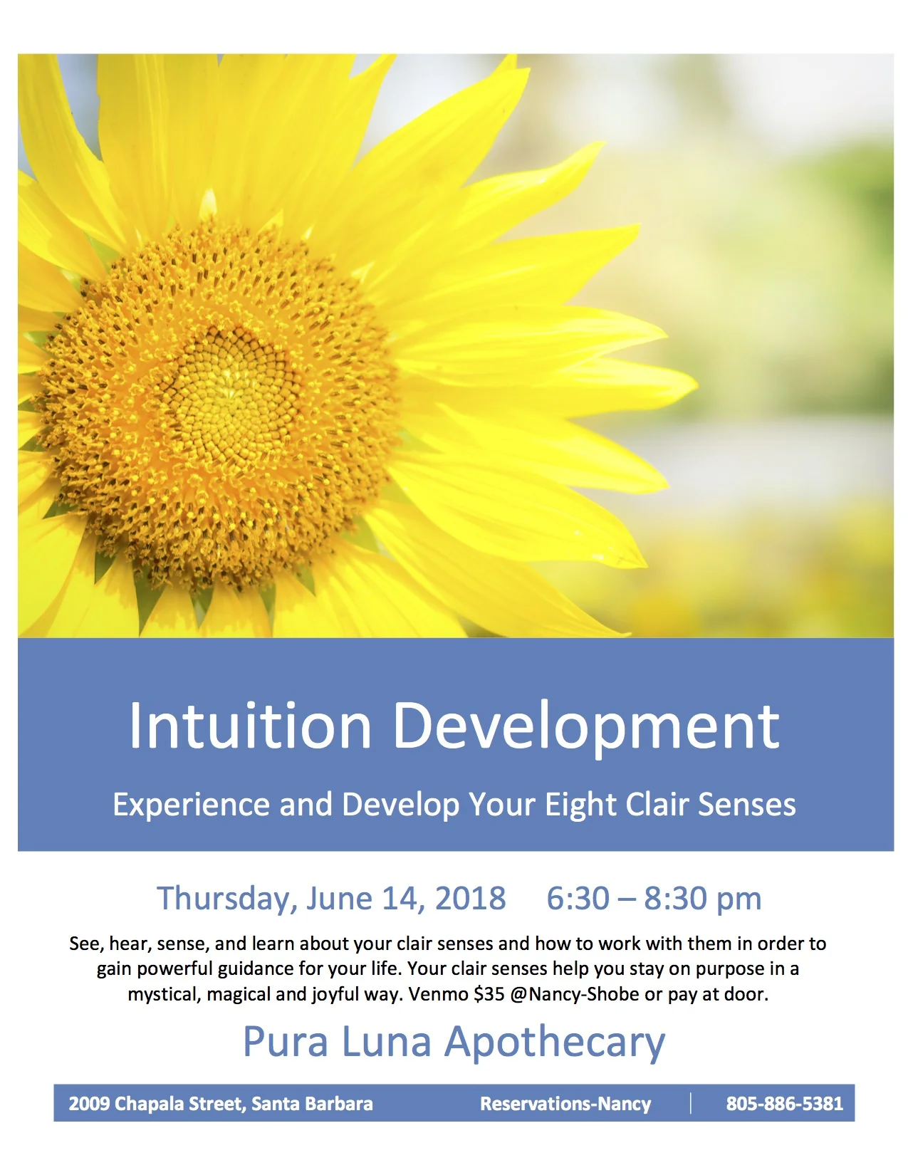SFIntuitionDevelopment-Clairs3.jpg
