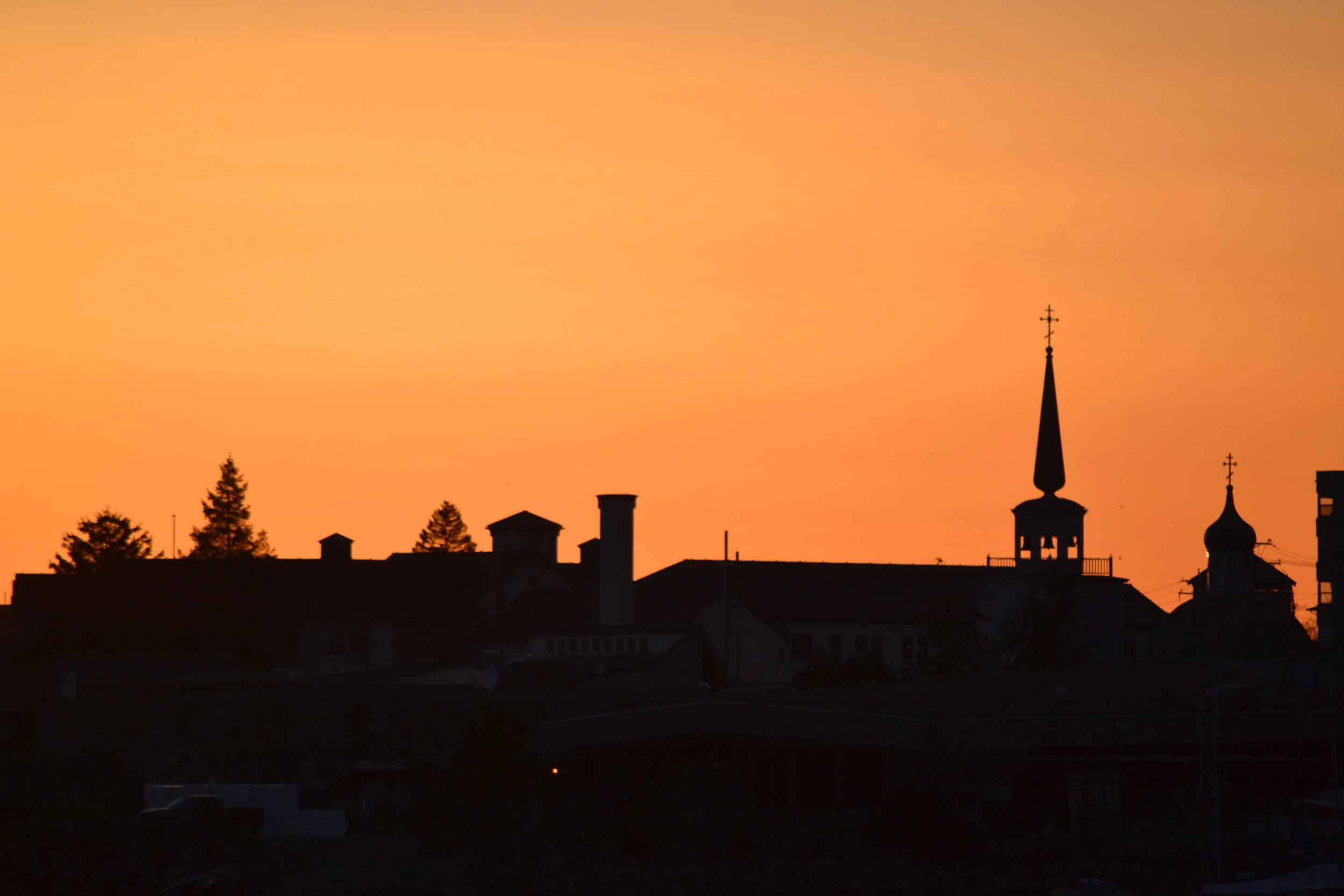 DSC_0011.JPG