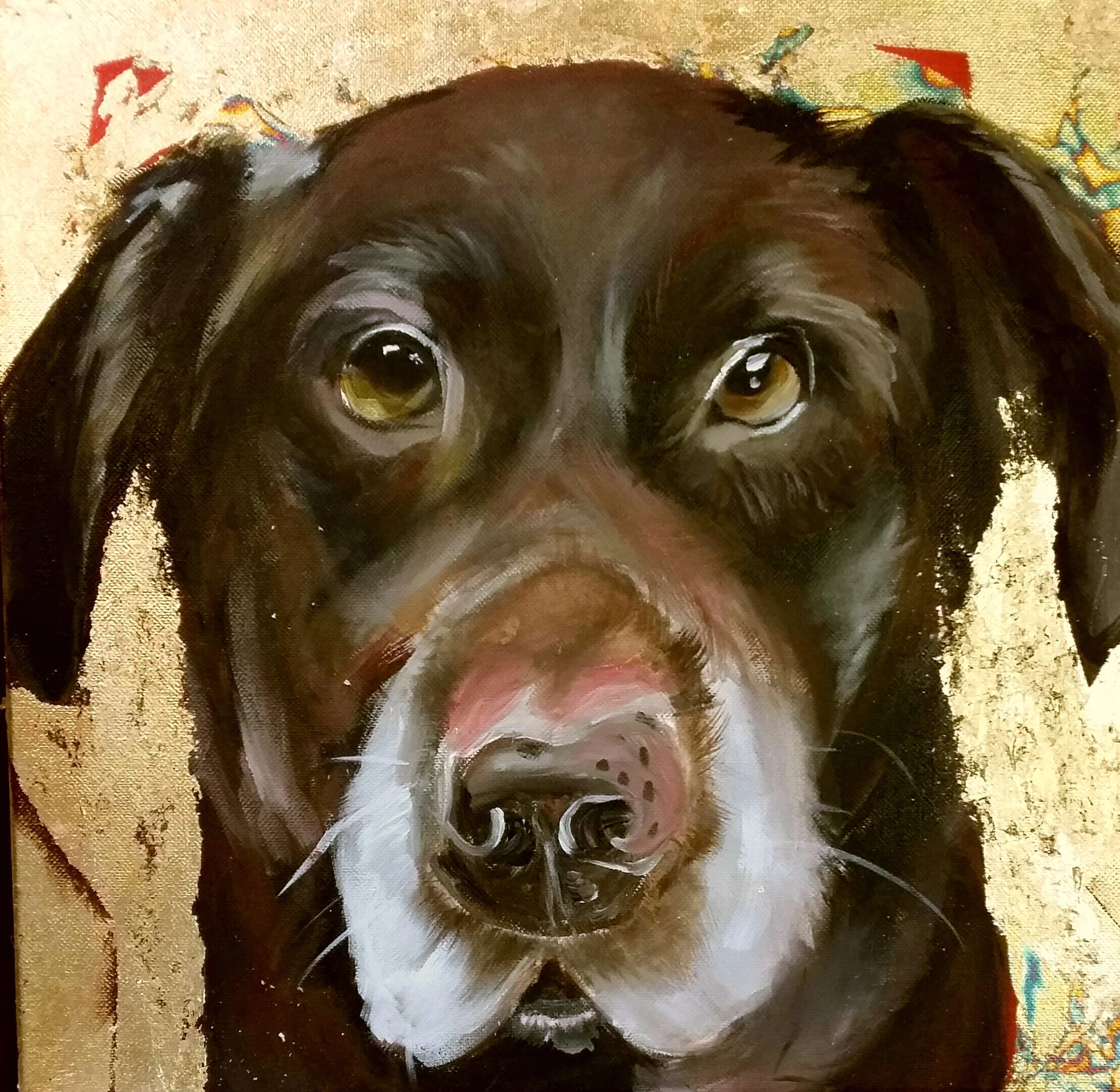 dog2.jpg