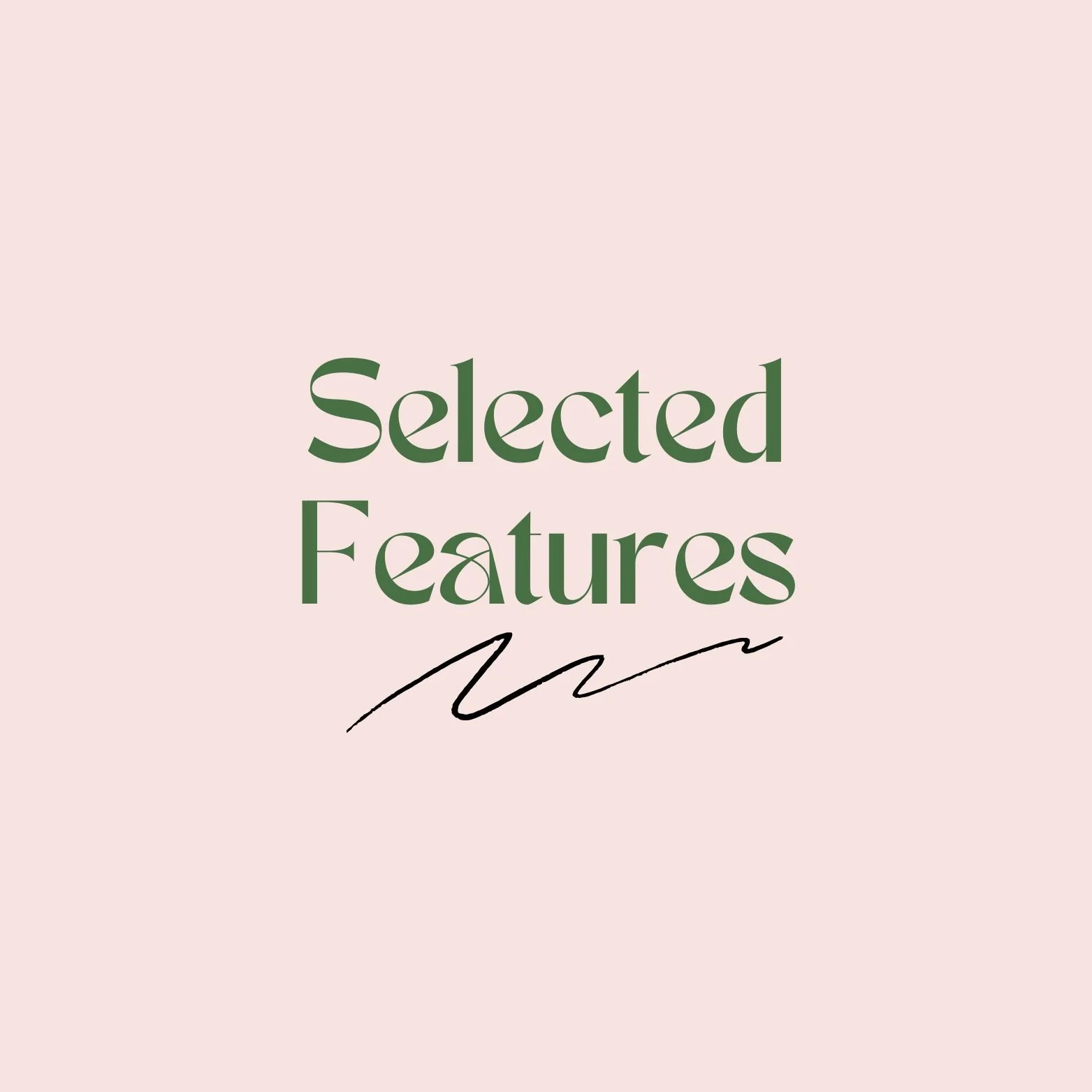 Selected Features