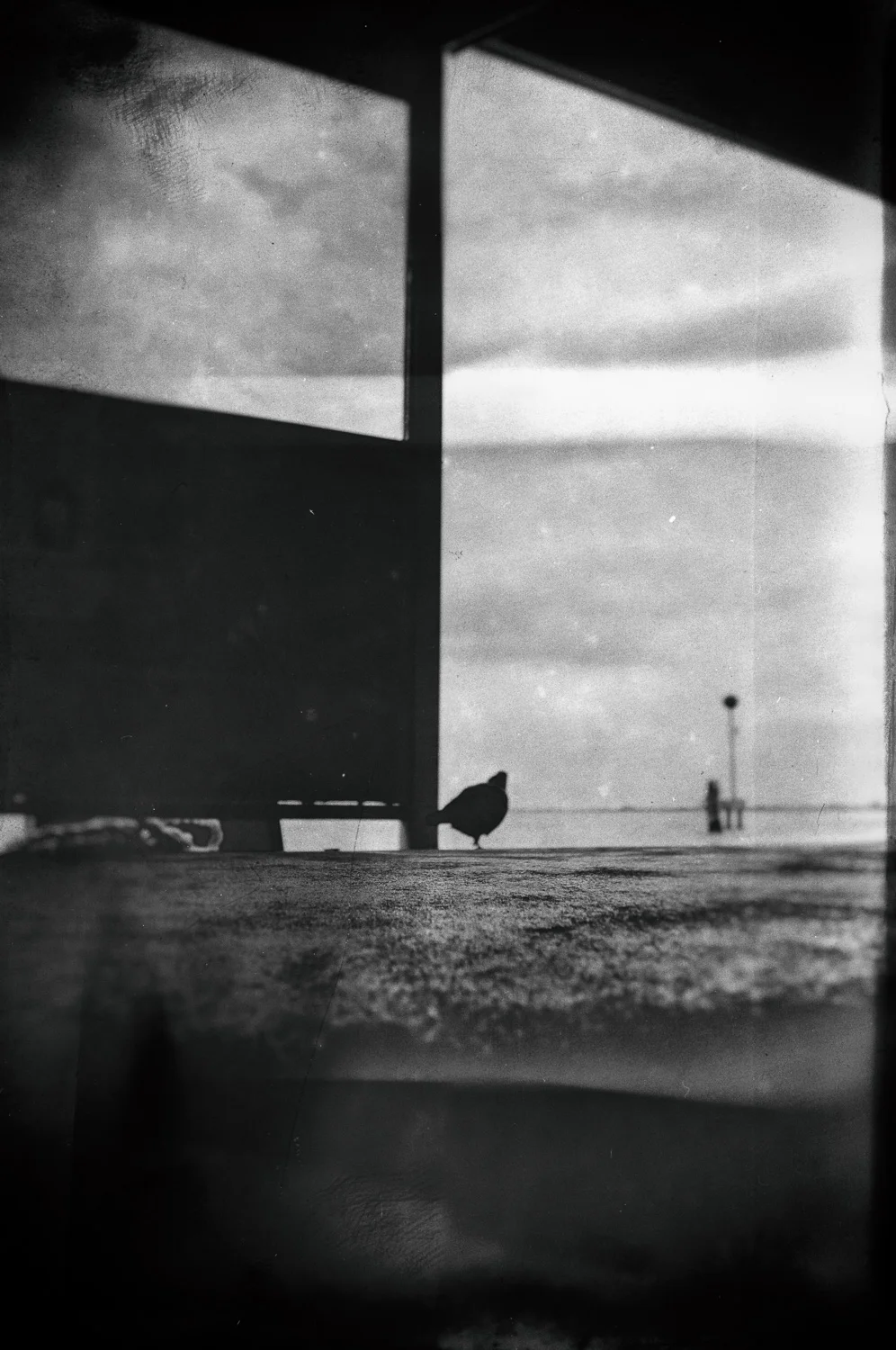 /laserenissima VI