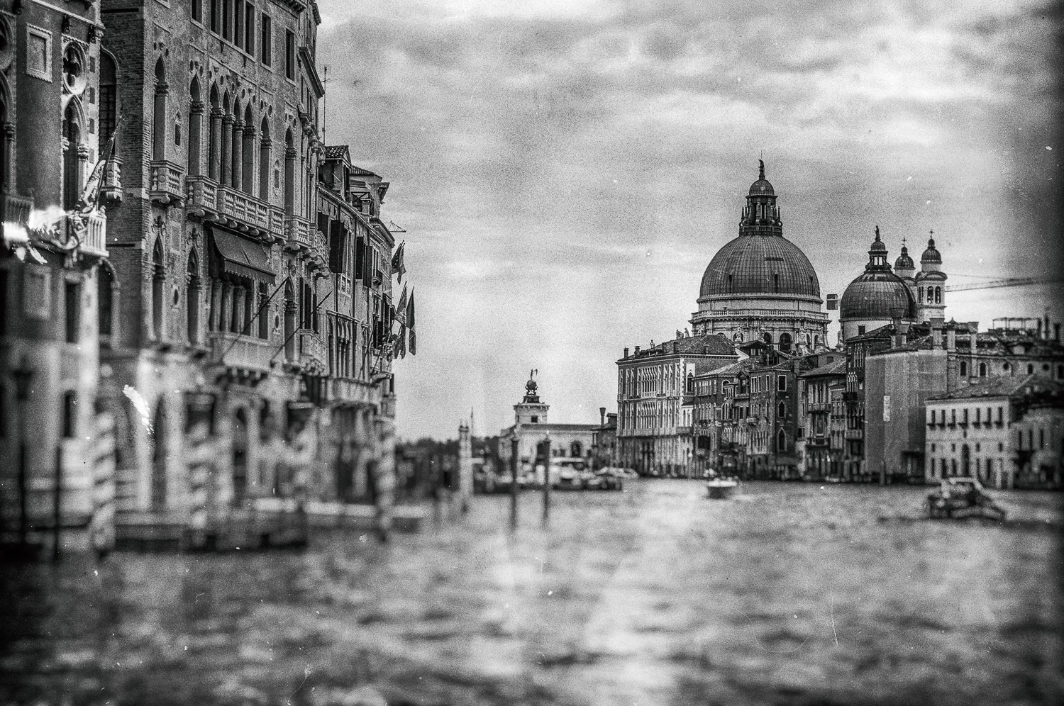 /laserenissima XXIII