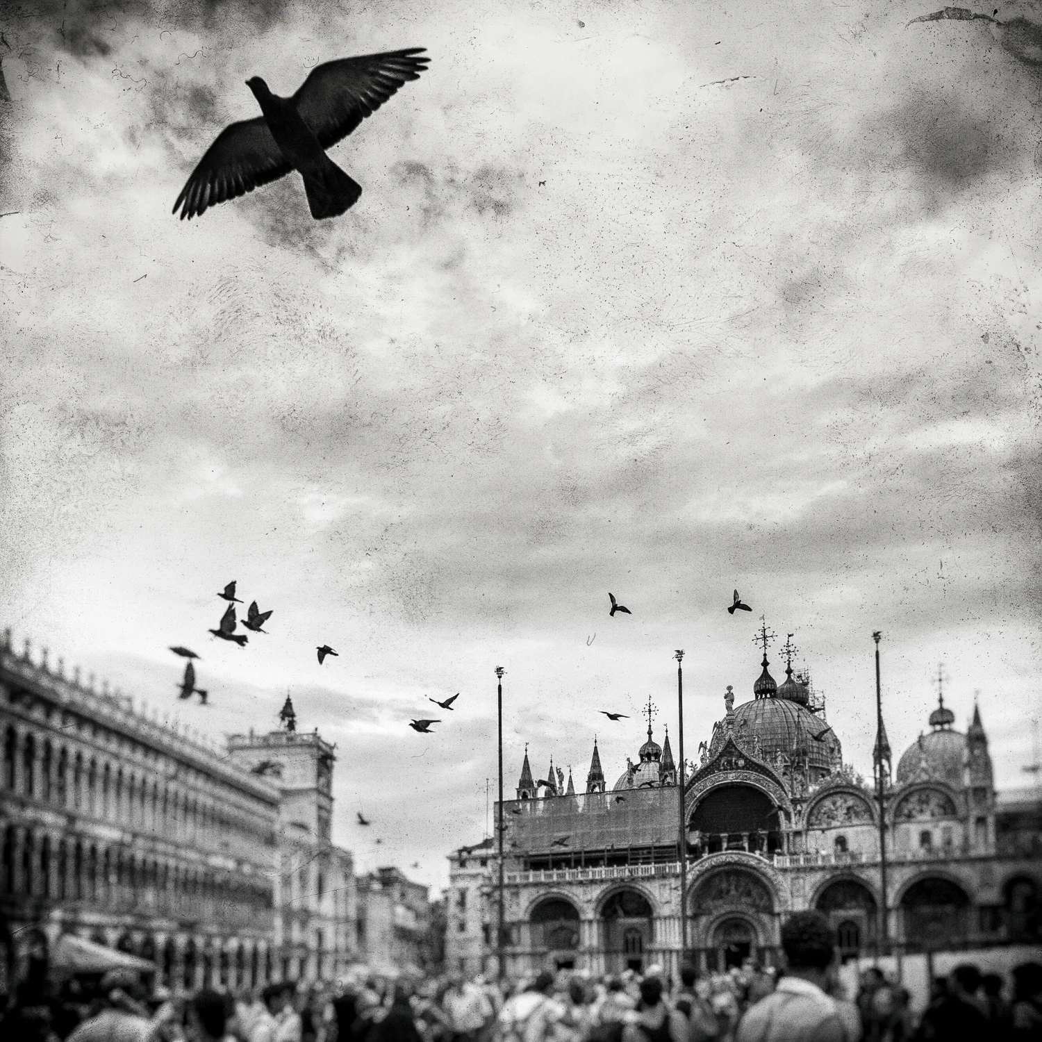 /laserenissima XXVIII