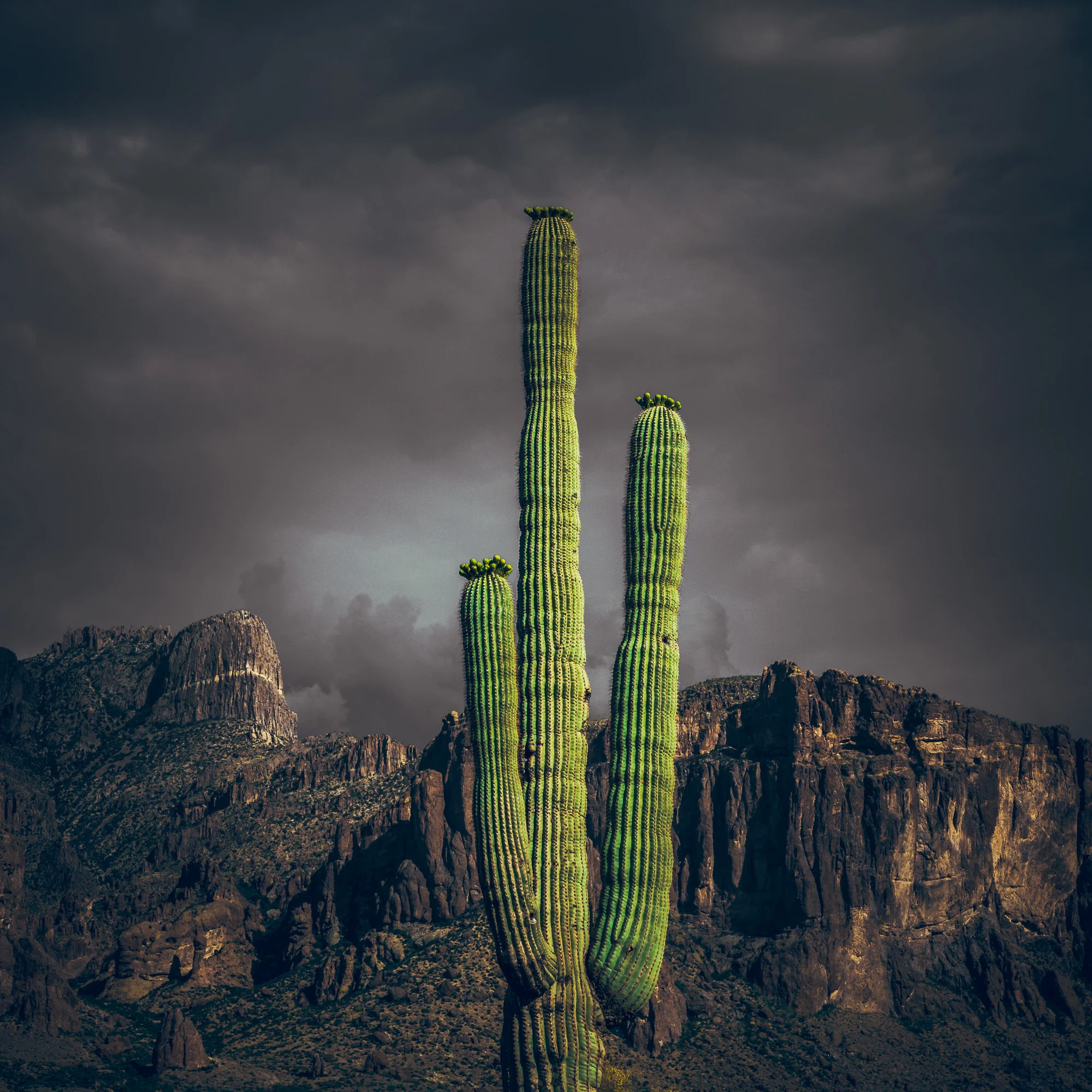 /az III