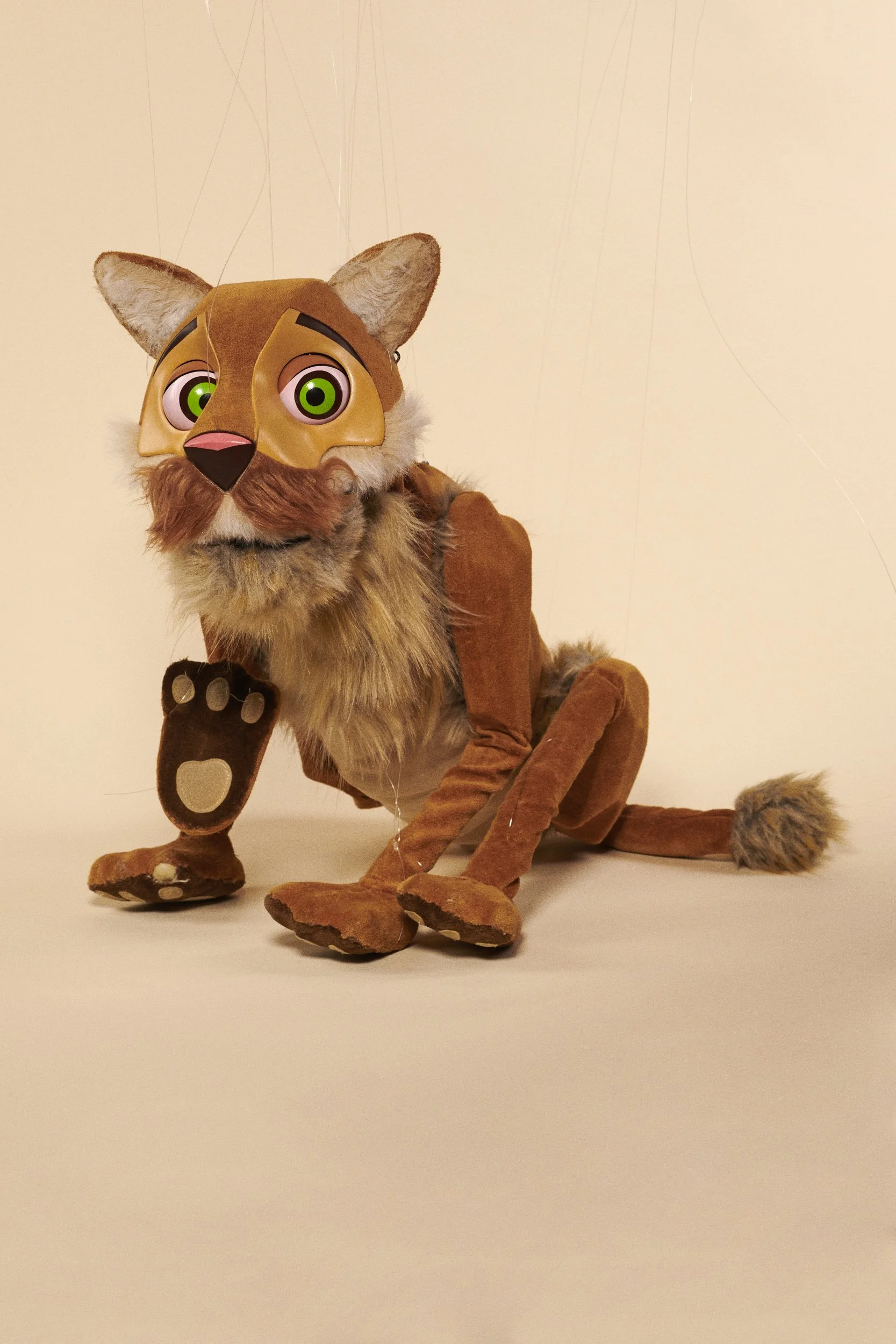 Mountain Lion_2024-05-02_BBMTMay_278.jpg