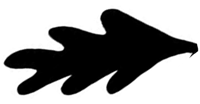 leftleaf.png