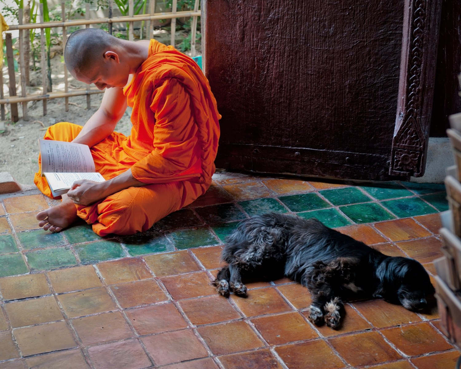 Monk studing the Sutras, Chaing Mai, Thailand