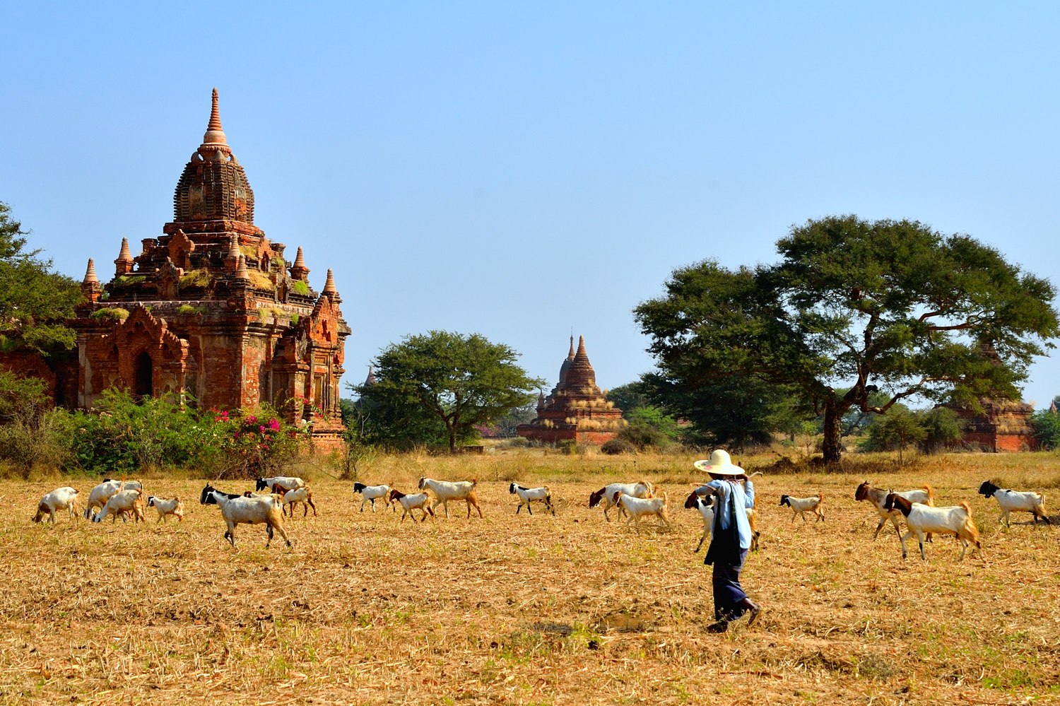 Myanmar