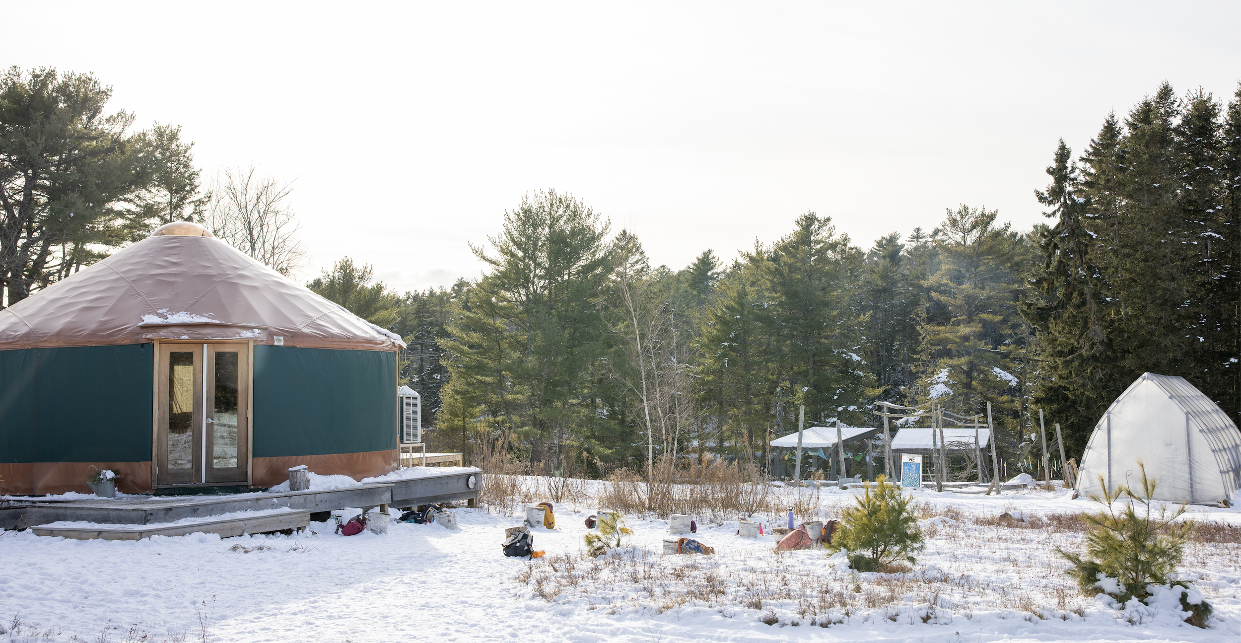 the community school mount desert island maine