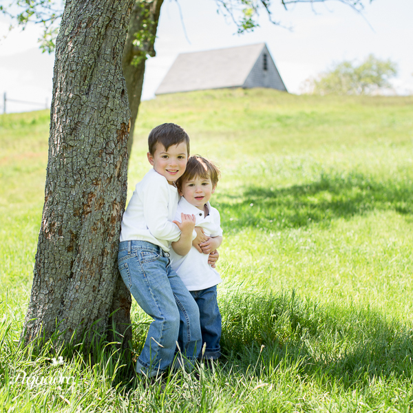 Brothers on the Farm