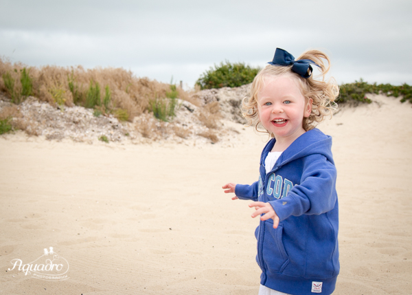 Cape Cod Sweatshirt Sprint