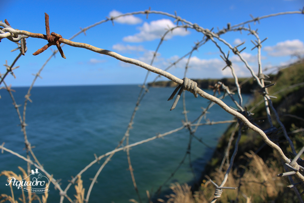 Barbed Wire at Pointe du Hoc