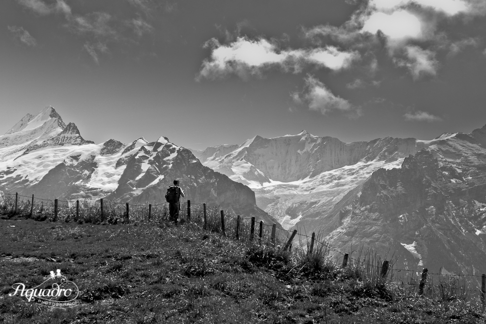 Hiker in the Alps
