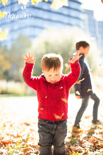 Playing With Leaves