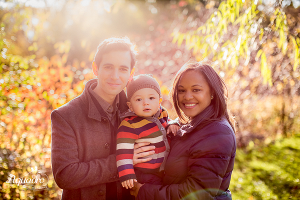 Light on the Family