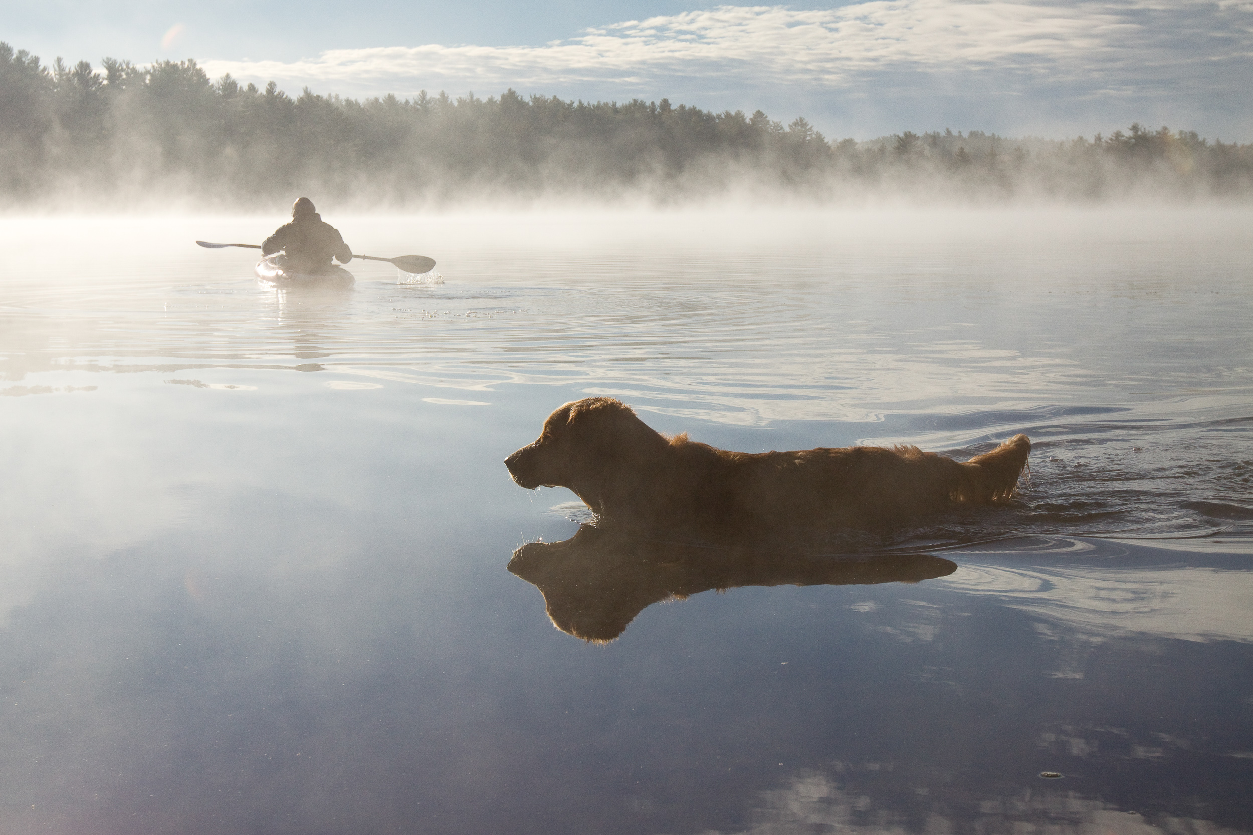 Kayak and Dog