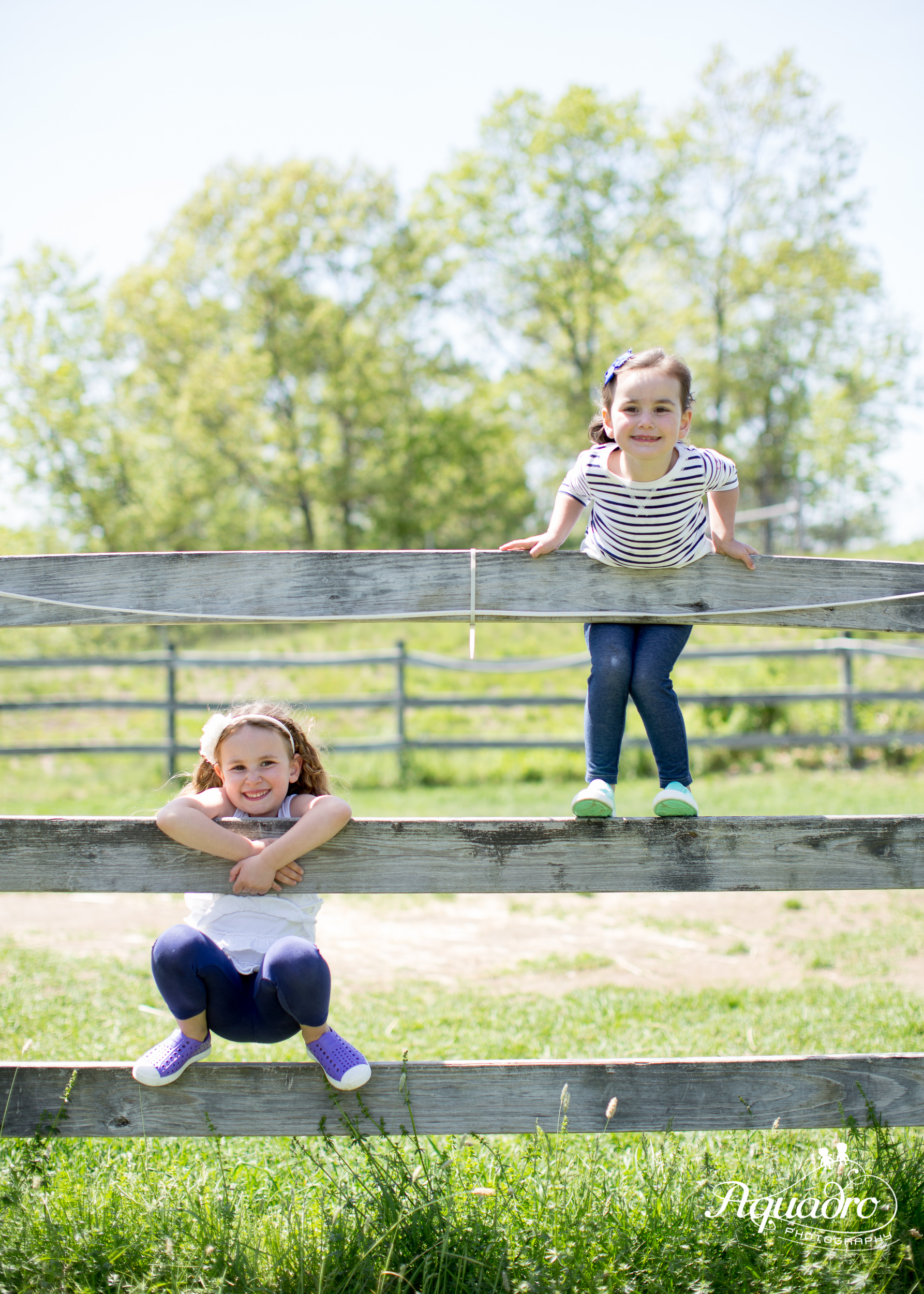 Sister Fence Climbing