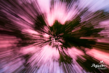 Zoom to Summer Sunset