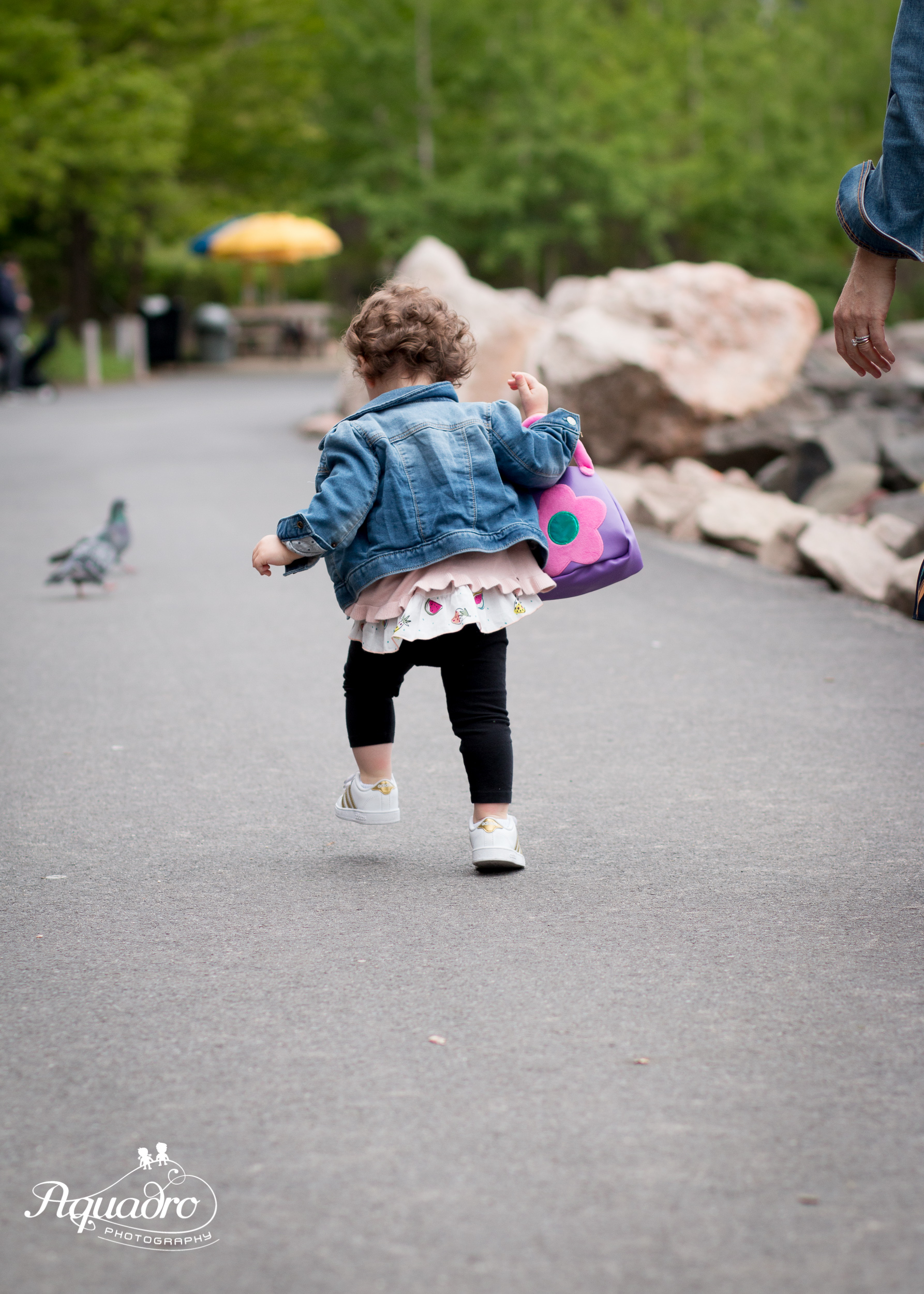 Brooklyn Bridge Park Family