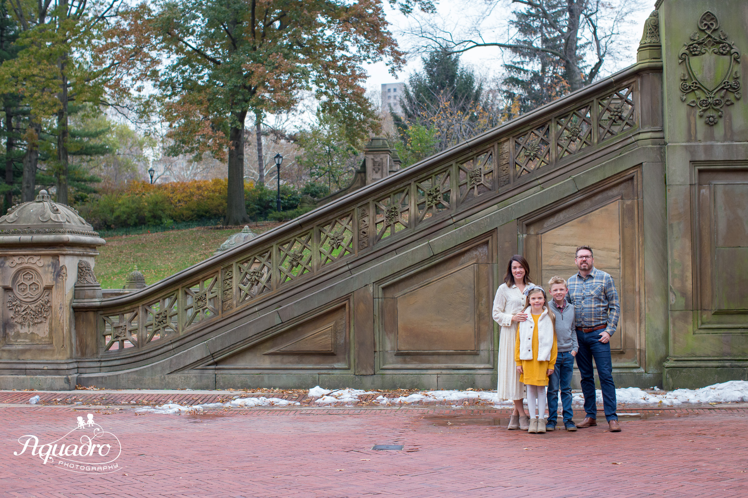 How to Visit Bethesda Terrace, Steps & Fountain in Central Park