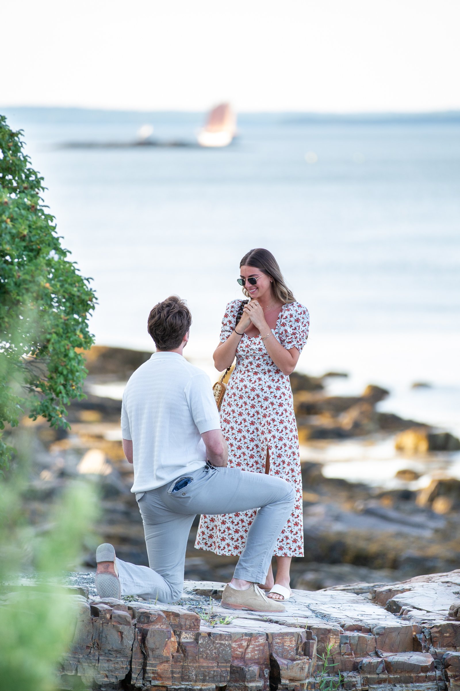 Surprise Proposal on Acadia Shore Path