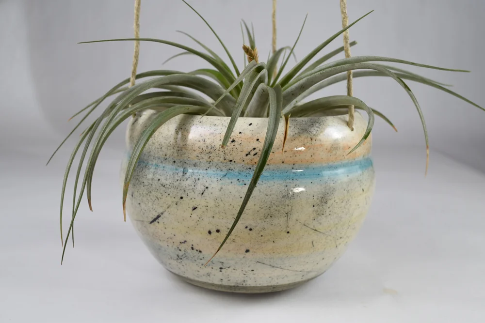 lg pot2.jpg