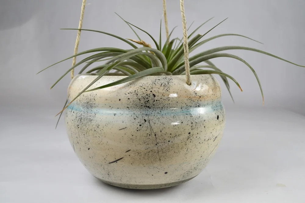 lg pot1.jpg