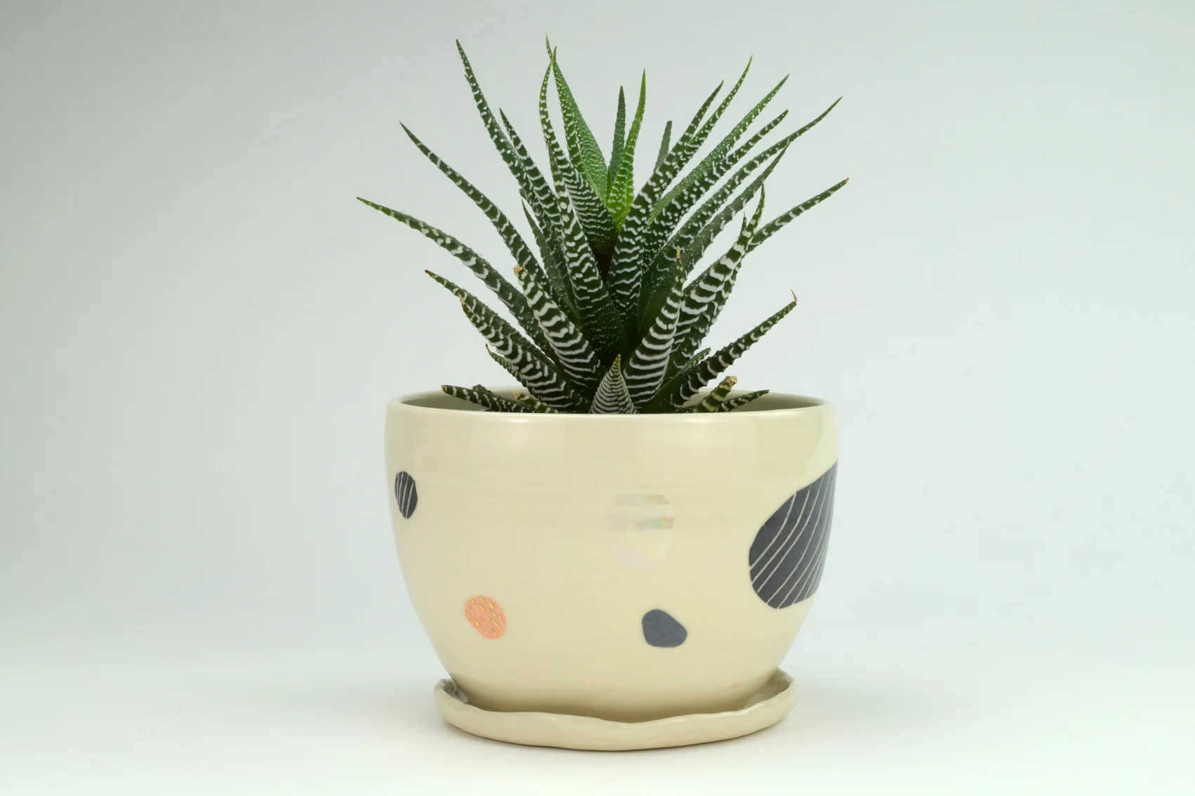 sitting-planter1d.jpg