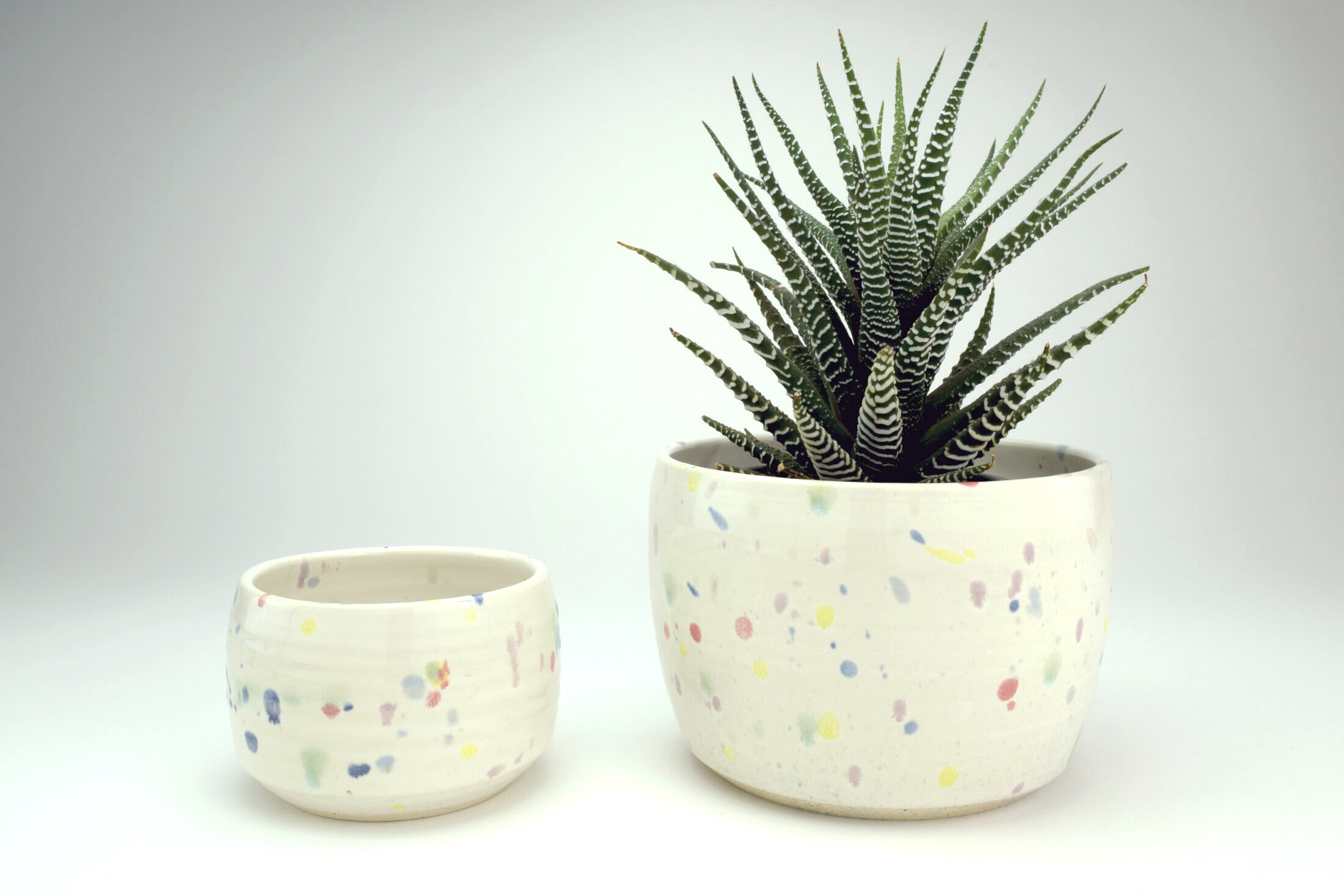 Confetti-planter1B.jpg