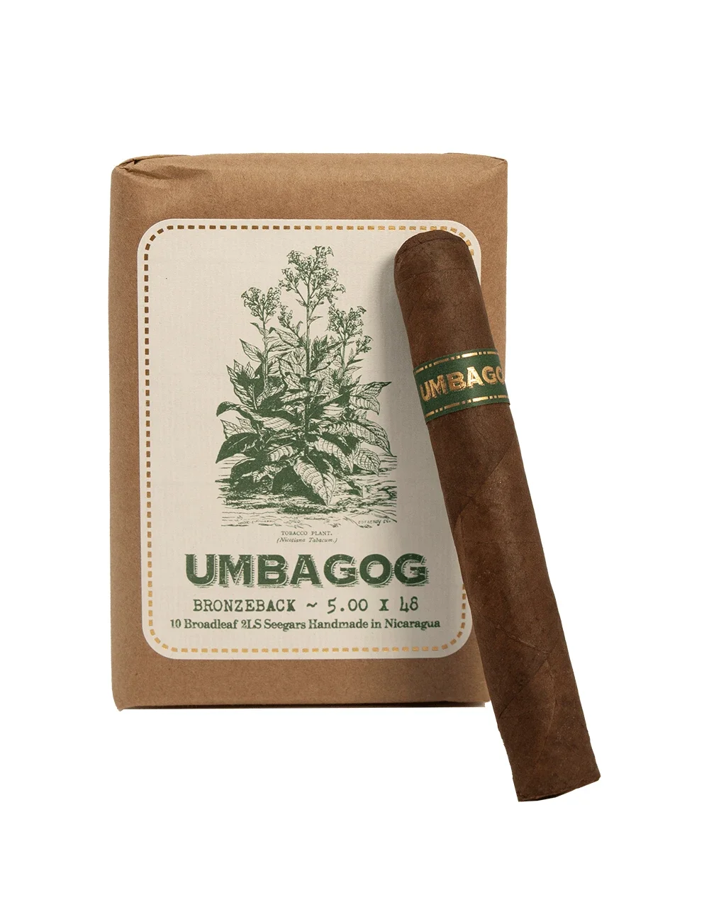 Umbagog Bronzeback